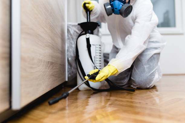 Best Best Pest Control Companies  in Strafford, MO