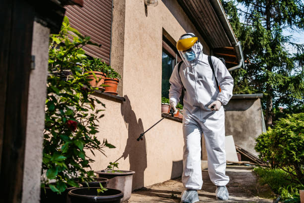 Reliable Strafford, MO Pest Control Solutions