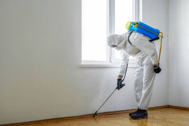 Professional Pest Control in Strafford, MO