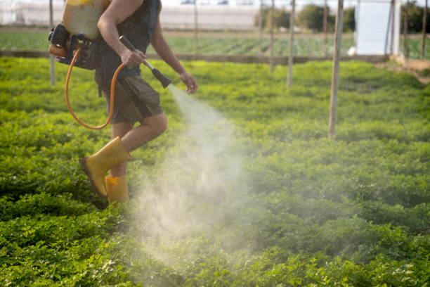 Best Pest Inspection Near Me  in Strafford, MO