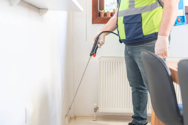 Best Flea Control Services  in Strafford, MO