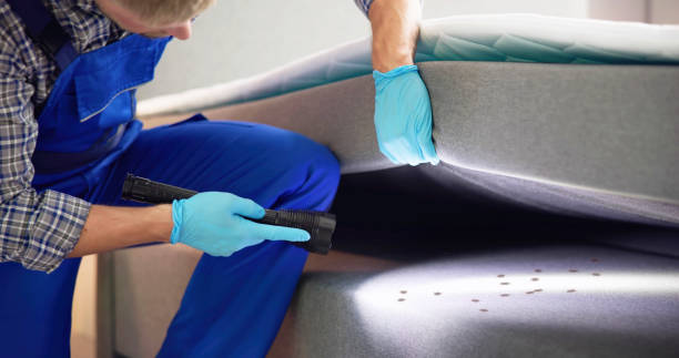 Best Residential Pest Control  in Strafford, MO